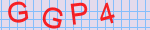 點此更換驗證碼